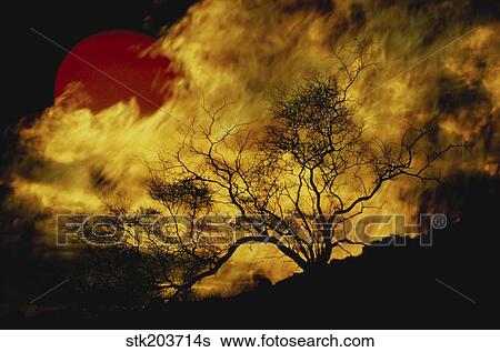 Stock Photograph - Composite of a lone tree, burning fire, and red Sun.. Fotosearch