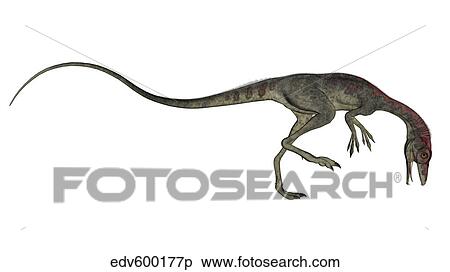 Compsognathus dinosaur. View Large Illustration Stock Illustration - Compsognathus dinosaur.. Fotosearch