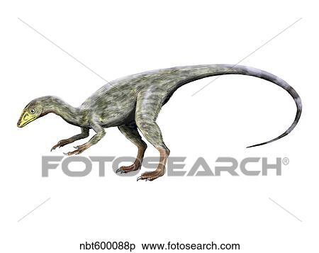 Compsognathus dinosaur. View Large Illustration Stock Illustration - Compsognathus dinosaur.. Fotosearch
