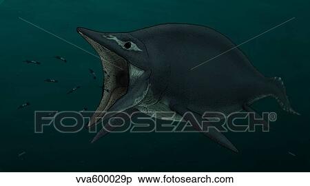 Stock Illustration - Concept of the suction feeding Shastasaurus eating celphalopods.. Fotosearch