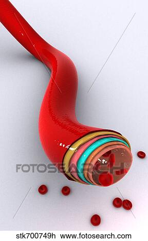 Conceptual image of a blood vessel. View Large Illustration Drawing - Conceptual image of a blood vessel.. Fotosearch