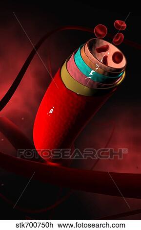 Conceptual image of a blood vessel. View Large Illustration Drawing - Conceptual image of a blood vessel.. Fotosearch