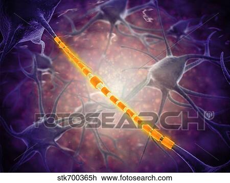 Drawing - Conceptual image of a neuron ligntning signal passing.. Fotosearch
