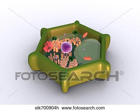 Conceptual image of a plant cell and its components. View Large Illustration Drawing - Conceptual image of a plant cell and its components.. Fotosearch