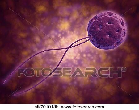 Drawing - Conceptual image of a viral spore.. Fotosearch