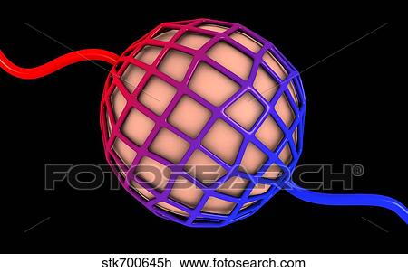 Drawing - Conceptual image of alveolus.. Fotosearch