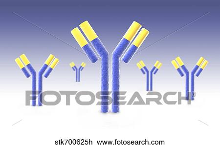 Drawing - Conceptual image of an antibody.. Fotosearch