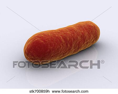 Conceptual image of bacteria. View Large Illustration Drawing - Conceptual image of bacteria.. Fotosearch