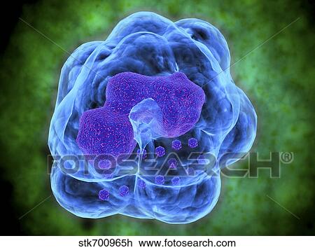Conceptual image of Basophils. View Large Illustration Drawing - Conceptual image of Basophils.. Fotosearch