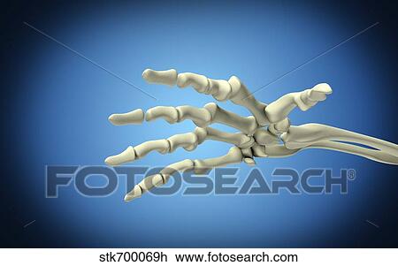 Conceptual image of bones in human hand. View Large Illustration Drawing - Conceptual image of bones in human hand.. Fotosearch