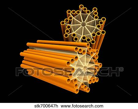 Drawing - Conceptual image of centrioles.. Fotosearch