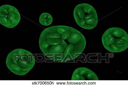 Conceptual image of chloroplast. View Large Illustration Drawing - Conceptual image of chloroplast.. Fotosearch