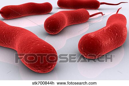 Conceptual image of cholerae bacteria. View Large Illustration Drawing - Conceptual image of cholerae bacteria.. Fotosearch