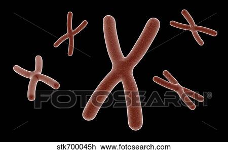 Drawing - Conceptual image of chromosome.. Fotosearch