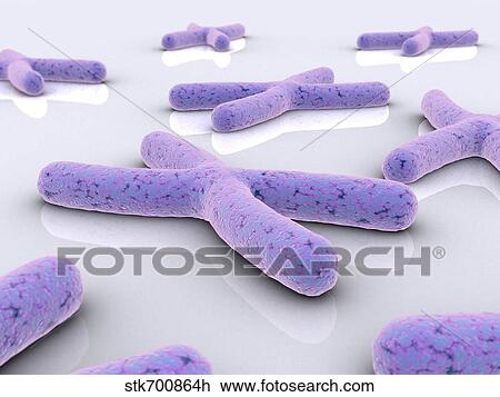 Drawing - Conceptual image of chromosome.. Fotosearch