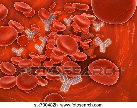 Drawing - Conceptual image of chromosomes inside the blood stream.. Fotosearch