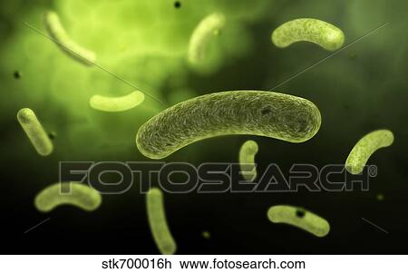 Drawing - Conceptual image of common bacteria.. Fotosearch