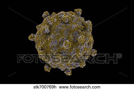Conceptual image of coxsackievirus. View Large Illustration Drawing - Conceptual image of coxsackievirus.. Fotosearch