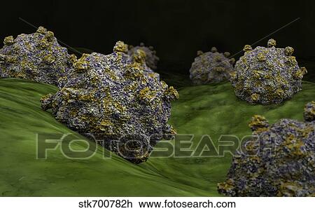 Conceptual image of coxsackievirus. View Large Illustration Drawing - Conceptual image of coxsackievirus.. Fotosearch