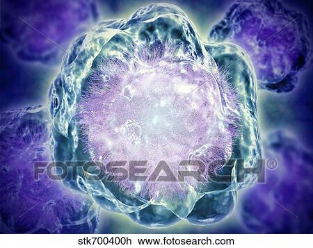 Drawing - Conceptual image of cytoskeleton.. Fotosearch