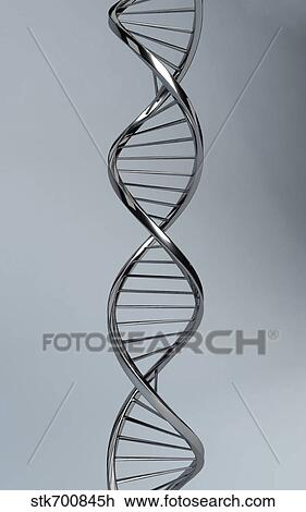 Drawing - Conceptual image of DNA.. Fotosearch