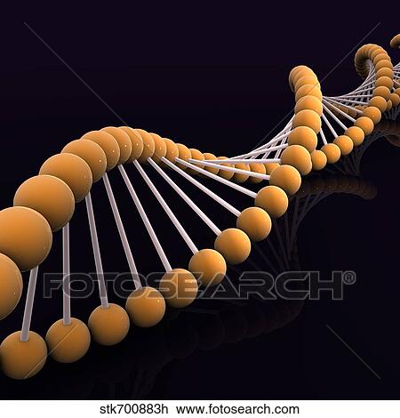 Drawing - Conceptual image of DNA.. Fotosearch
