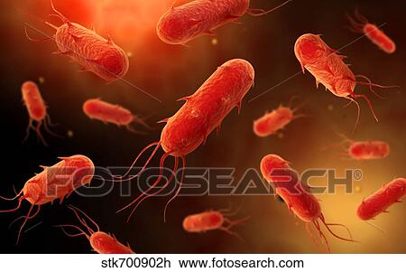 Drawing - Conceptual image of flagellate bacterium.. Fotosearch