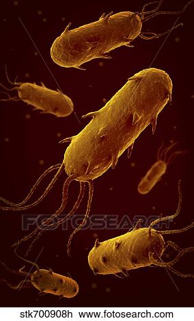Drawing - Conceptual image of flagellate bacterium.. Fotosearch