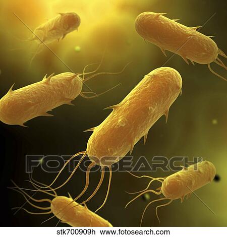 Conceptual image of flagellate bacterium. View Large Illustration Drawing - Conceptual image of flagellate bacterium.. Fotosearch