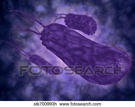 Drawing - Conceptual image of helicobacter.. Fotosearch