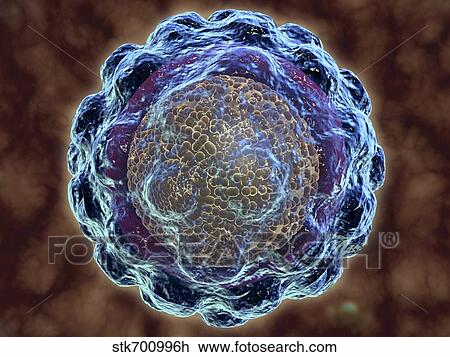 Conceptual image of hepatitis virus. View Large Illustration Drawing - Conceptual image of hepatitis virus.. Fotosearch
