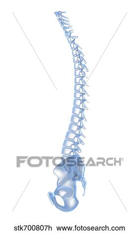 Conceptual image of human backbone. View Large Illustration Drawing - Conceptual image of human backbone.. Fotosearch