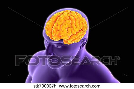 Conceptual image of human brain. View Large Illustration Drawing - Conceptual image of human brain.. Fotosearch