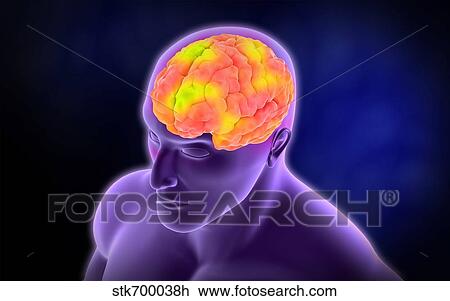 Conceptual image of human brain. View Large Illustration Drawing - Conceptual image of human brain.. Fotosearch