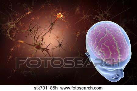 Drawing - Conceptual image of human brain with neurons.. Fotosearch