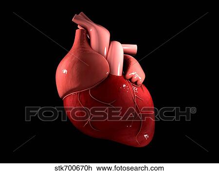 Conceptual image of human heart. View Large Illustration Drawing - Conceptual image of human heart.. Fotosearch