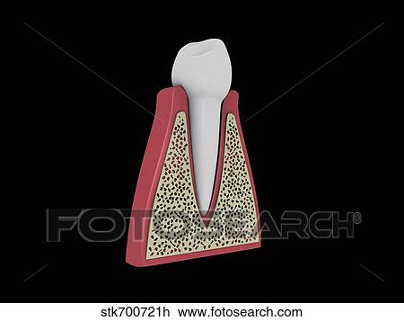 Conceptual image of human tooth. View Large Illustration Drawing - Conceptual image of human tooth.. Fotosearch