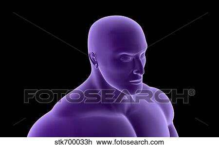 Drawing - Conceptual image of human upper body.. Fotosearch