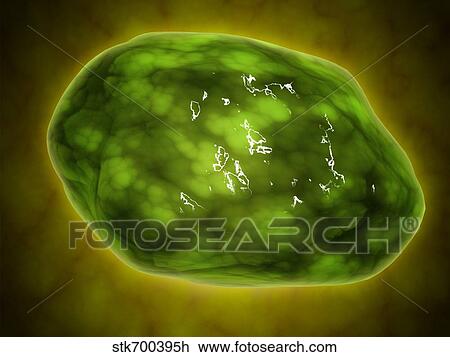 Conceptual image of lysosome. View Large Illustration Drawing - Conceptual image of lysosome.. Fotosearch
