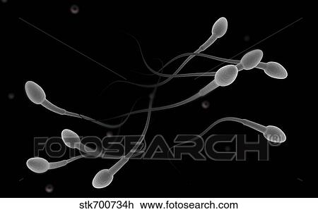 Drawing - Conceptual image of male sperm.. Fotosearch