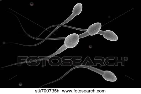 Conceptual image of male sperm. View Large Illustration Drawing - Conceptual image of male sperm.. Fotosearch