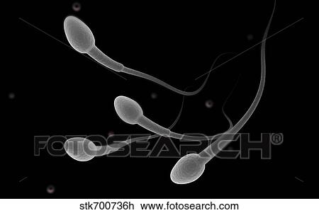 Drawing - Conceptual image of male sperm.. Fotosearch