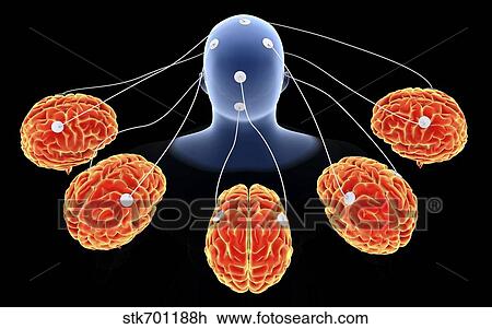 Conceptual image of multi-brain processing. View Large Illustration Drawing - Conceptual image of multi-brain processing.. Fotosearch
