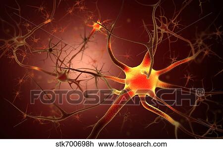 Drawing - Conceptual image of neuron.. Fotosearch