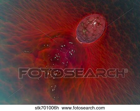 Conceptual image of ovulation in female. View Large Illustration Drawing - Conceptual image of ovulation in female.. Fotosearch