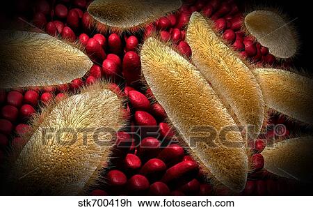 Drawing - Conceptual image of paramecium.. Fotosearch