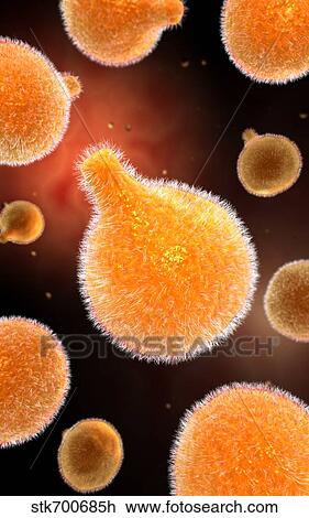 Conceptual image of plasmodium causing malaria. View Large Illustration Drawing - Conceptual image of plasmodium causing malaria.. Fotosearch