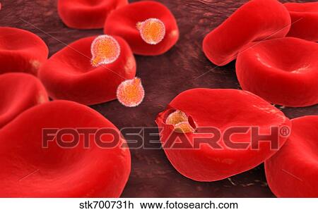 Conceptual image of plasmodium. View Large Illustration Drawing - Conceptual image of plasmodium.. Fotosearch