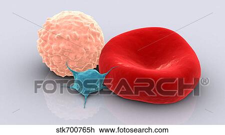 Conceptual image of platelet, red blood cell and white blood cell. View Large Illustration Drawing - Conceptual image of platelet, red blood cell and white blood cell.. Fotosearch