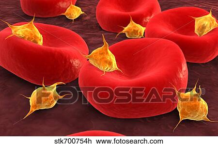 Drawing - Conceptual image of platelets with red blood cells.. Fotosearch